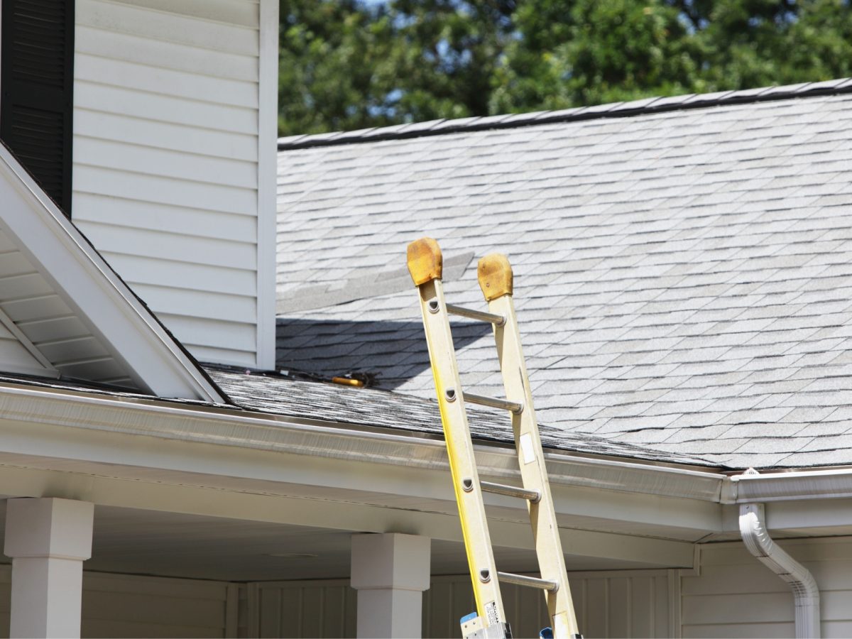 Ladder-to-the-roof-1200x900.jpg